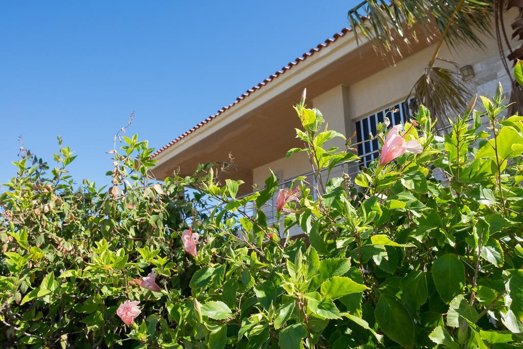 Sunset Beach House กาโต อาเลโปโคริออน ภายนอก รูปภาพ